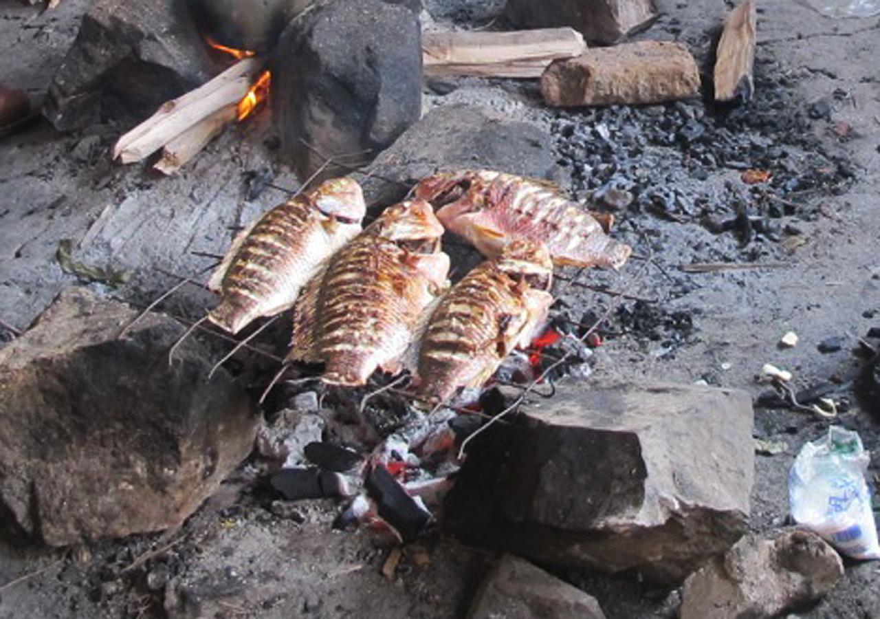 Lodge Kasenyi Retreat & *