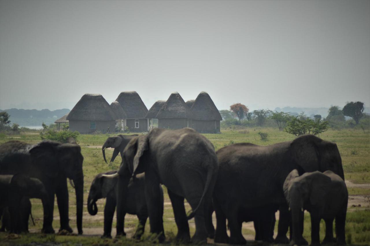 Kasenyi Retreat &